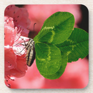 Lucky Butterfly Coaster