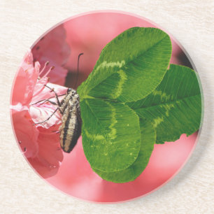 Lucky Butterfly Coaster