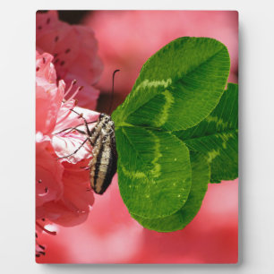 Lucky Butterfly Plaque