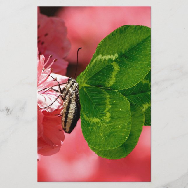 Lucky Butterfly Stationery (Front)