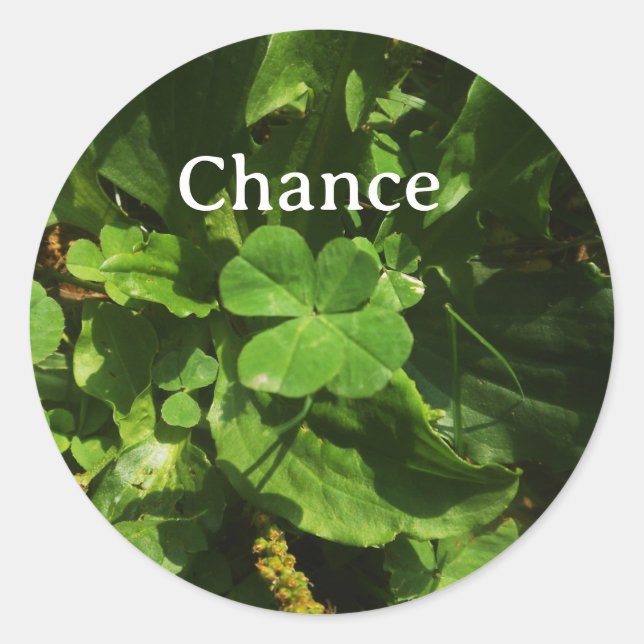 Lucky Charm Sticker - Four Leaf Clover (Front)