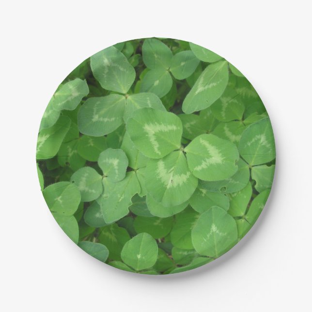 Lucky Clovers! Paper Plates (Front)