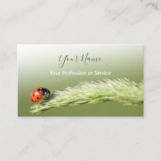 Lucky customers with lucky ladybugs! business card (Front)
