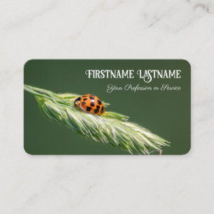 Lucky customers with lucky ladybugs positive life business card