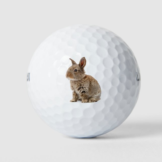 Lucky Cute Rabbit Bunny Golf Balls (Front)