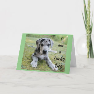 **LUCKY DOG LUCKY ME** YOU IN MY LIFE BIRTHDAY CARD