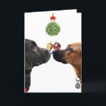 Lucky Dogs Holiday Card<br><div class="desc">To each his own. A fun holiday to celebrate Hannukah, Christmas, and New Year
https://www.zazzle.com/lucky_dogs_holiday_card-256840964010976899/
https://cathyhulloriginals.com*</div>