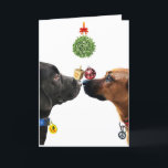 Lucky Dogs Holiday Card<br><div class="desc">To each his own. A fun holiday to celebrate Hannukah,  Christmas,  and New Year

https://www.zazzle.com/lucky_dogs_holiday_card-256886739678263365
https://cathyhulloriginals.com*</div>