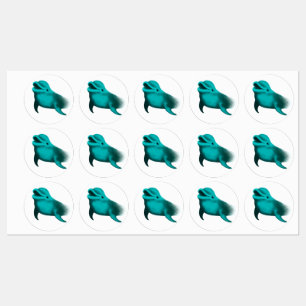 Lucky Dolphin
