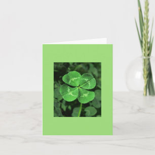 LUCKY FOUR-LEAF CLOVER Blank Note Card