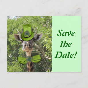 Lucky Giraffe Announcement Postcard