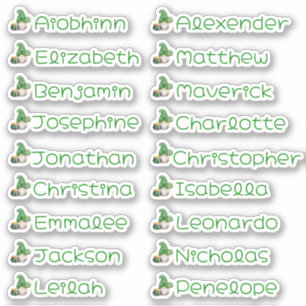 Lucky Gnome Custom Multiple Name Stickers