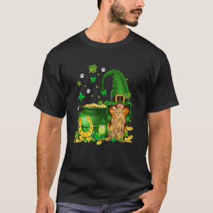 Lucky Gnome U2013 Gnome Hug Oriental Cat St Patric T-Shirt
