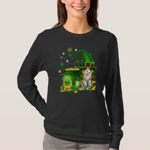 Lucky Gnome U2013 Gnome Hug Ragdoll Cat St Patrick T-Shirt