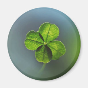 Lucky Green Four Leaf Clover Magnet