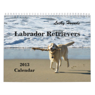 Lucky Hounds Labrador Retriever Calendar 2013