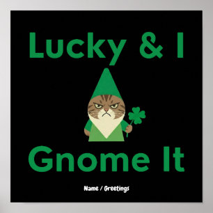 Lucky & I Gnome It Funny Sarcastic Cat St Patrick Poster