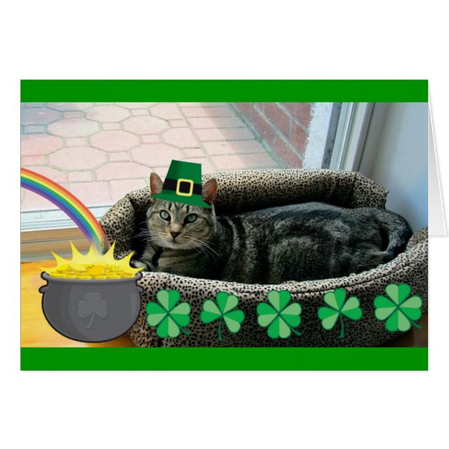 Lucky Irish Indigo (Front Horizontal)