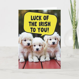 Lucky Irish Puppies Cute Card