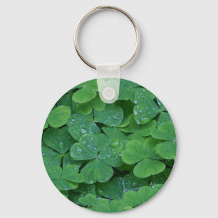 Lucky Irish Shamrocks Key Ring