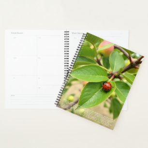 Lucky Ladybug Calendar Planner