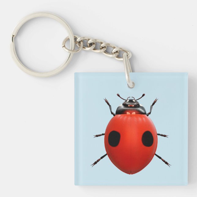Lucky Ladybug Key Ring (Front)