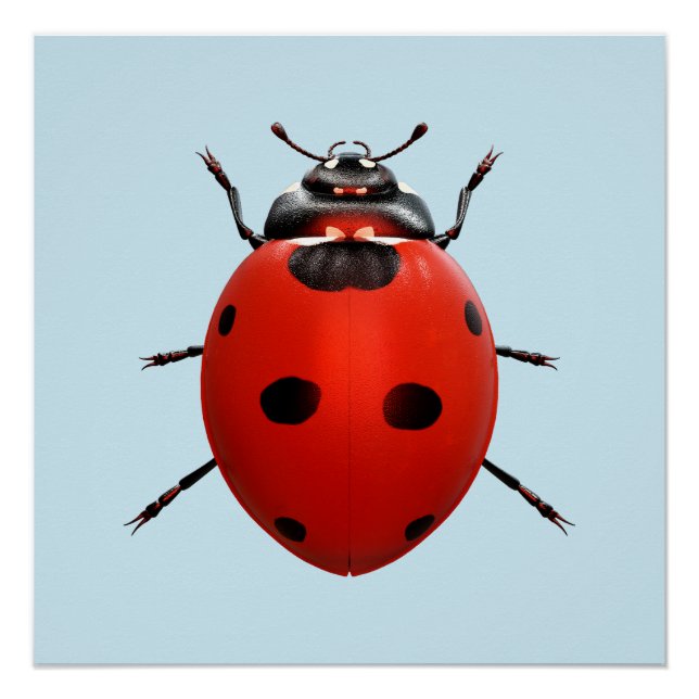 Lucky Ladybug Poster (Front)
