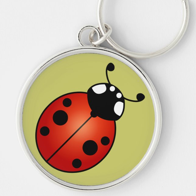 Lucky Ladybug Red Orange Black Ladybird Beetle Key Ring (Front)