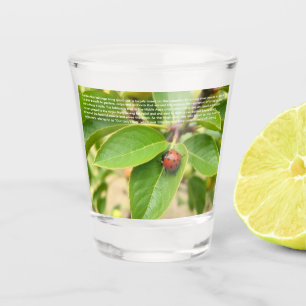 Lucky Ladybug  Shot Glass
