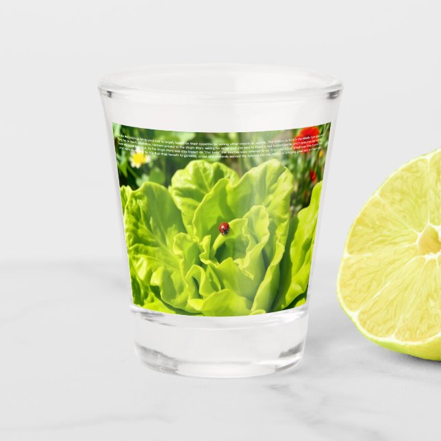 Lucky Ladybug  Shot Glass (Front)