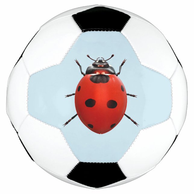 Lucky Ladybug Soccer Ball (Front)