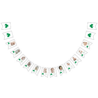 Lucky One Baby Monthly Milestone Photo  Bunting