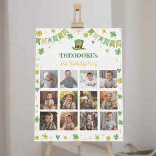 Lucky One Boy Birthday Photo Milestone Sign