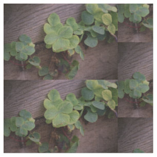 Lucky or Determined? Saint Patricks Day Shamrocks Fabric