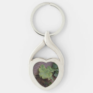 Lucky or Determined? Saint Patricks Day Shamrocks Key Ring