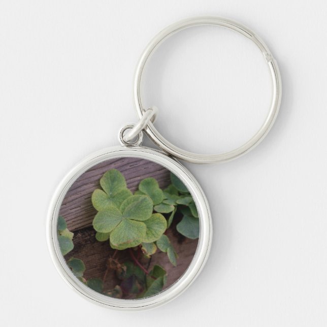 Lucky or Determined? Saint Patricks Day Shamrocks Key Ring (Front)