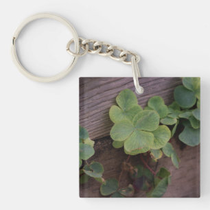 Lucky or Determined? Saint Patricks Day Shamrocks Key Ring