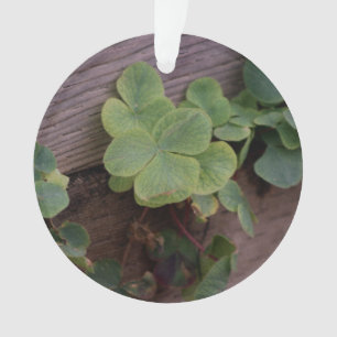 Lucky or Determined? Saint Patricks Day Shamrocks Ornament