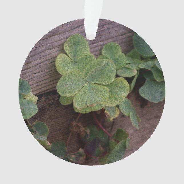 Lucky or Determined? Saint Patricks Day Shamrocks Ornament (Front)
