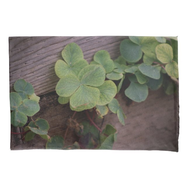 Lucky or Determined? Saint Patricks Day Shamrocks Pillowcase (Front)