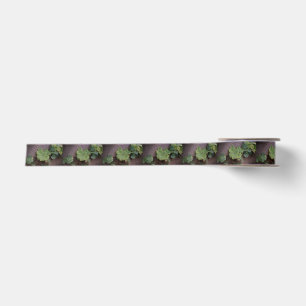 Lucky or Determined? Saint Patricks Day Shamrocks Satin Ribbon
