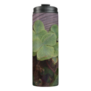 Lucky or Determined? Saint Patricks Day Shamrocks Thermal Tumbler