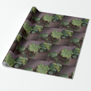 Lucky or Determined? Saint Patricks Day Shamrocks Wrapping Paper