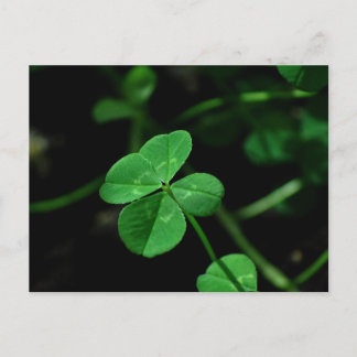 Lucky Postcard