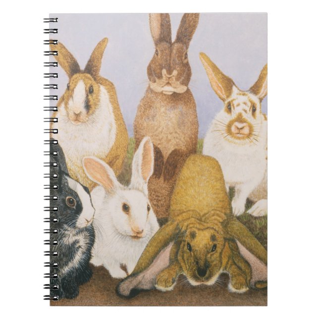 Lucky rabbits notebook (Front)