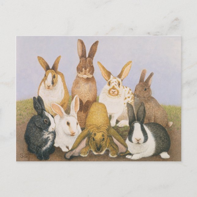 Lucky rabbits postcard (Front)