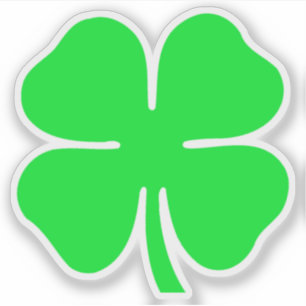 lucky shamrock