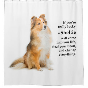 Lucky Sheltie Shower Curtain