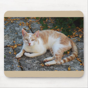 Lucky the beautiful cat mouse pad