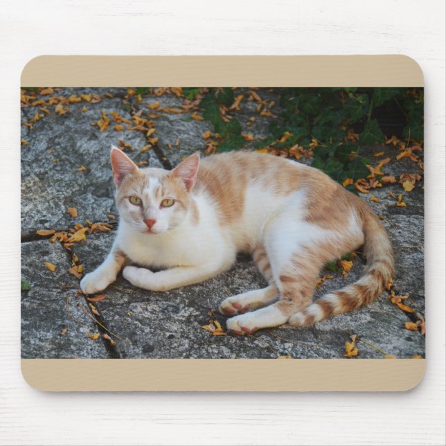 Lucky the beautiful cat mouse pad (Front)